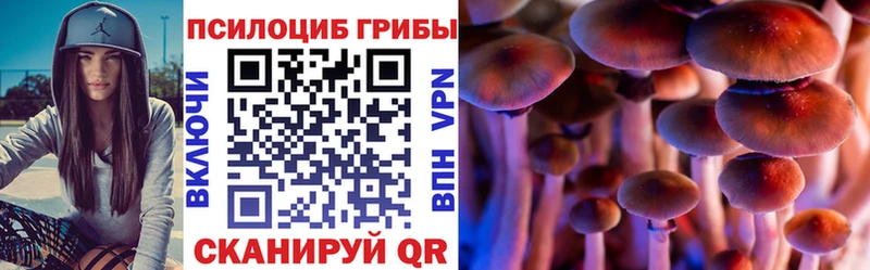 как найти наркотики  Саянск  Галлюциногенные грибы мицелий 